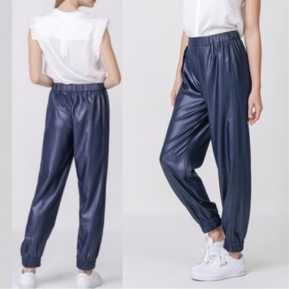 NWT Robertson + Rodeo Coated Joggers